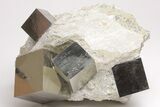 Five Shiny, Natural Pyrite Cubes in Rock - Navajun, Spain #206828-1